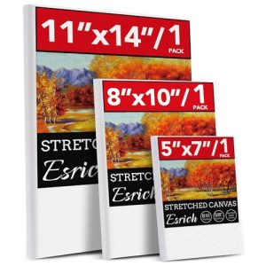 Best Canvas for Oil Painting: Top Picks for Every Artist - Painting Pro ...