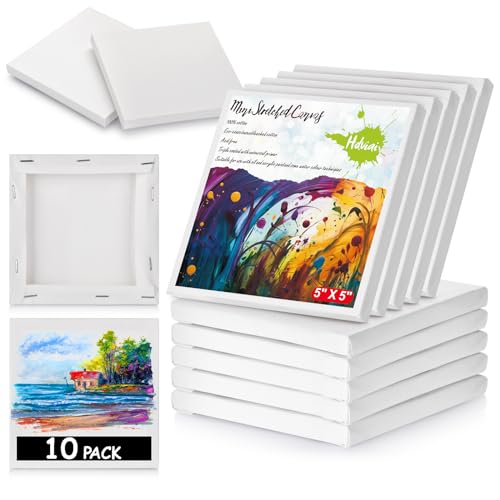 Best Canvas for Small Paintings