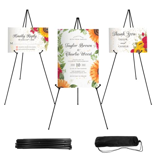 Best Easel for Display
