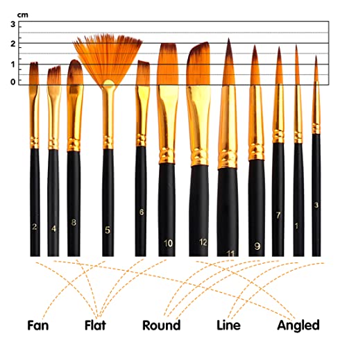 Best Acrylic Paint Starter Kit