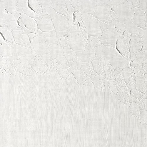 Best Alkyd Oil Paint