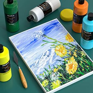 Best Economy Acrylic Paint