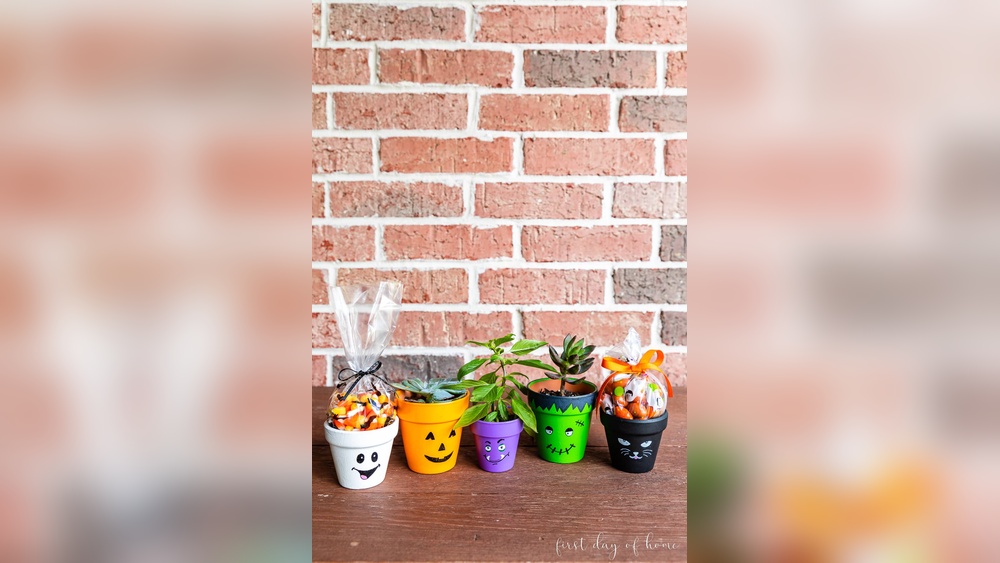 How to Paint Diy Flower Pots at Home