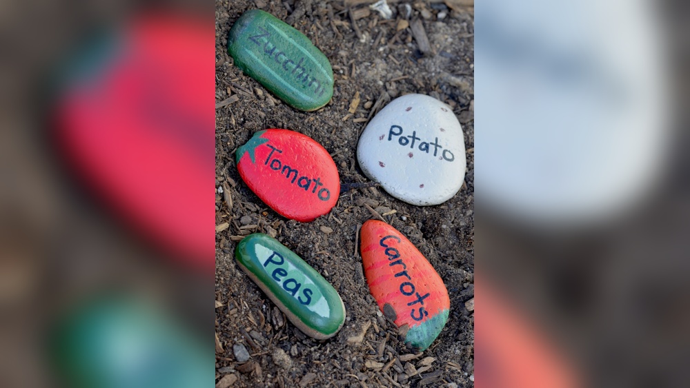 How to Paint Diy Rocks for Garden