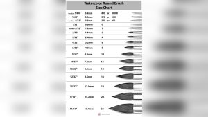 Watercolor Brush Sizes Guide Beginners