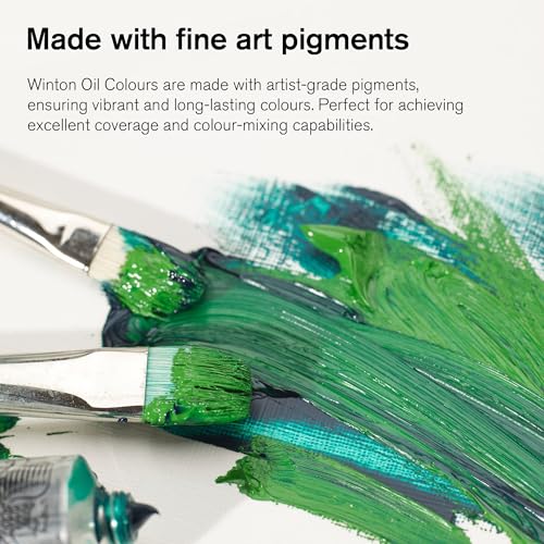Best Oil Paints For Students 2026