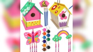 How to Make Painted Birdhouse Diy Craft