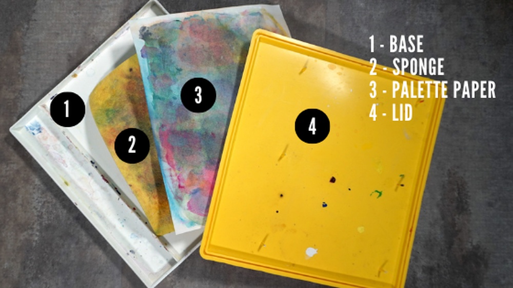 How to Use a Stay-Wet Palette Correctly