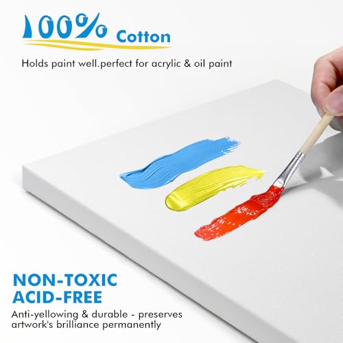 Best Canvas Pack For Artists
