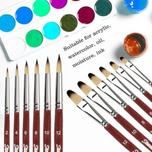 Best Filbert Brush Set For Beginners