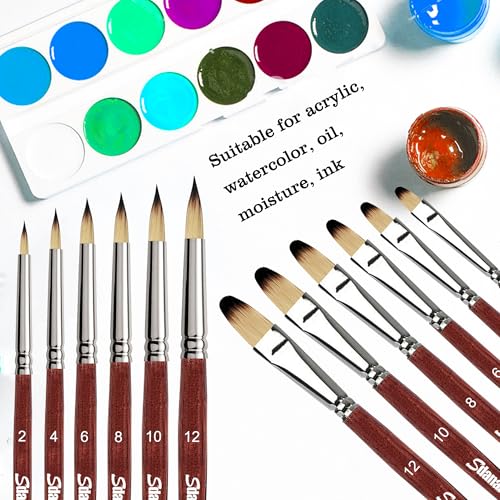 Best Filbert Brush Set For Beginners