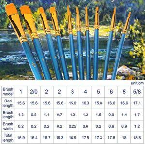 Best Paint Brushes For Beginners Amazon