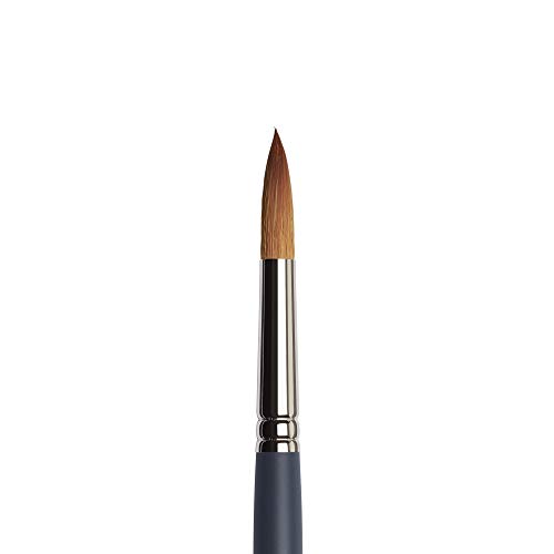 Winsor & Newton Synthetic Brush Review