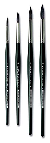 Da Vinci Watercolor Brush Review