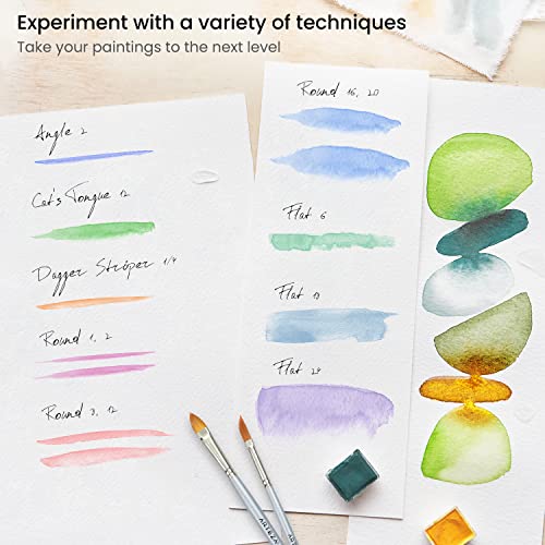 Arteza Watercolor Brush Review