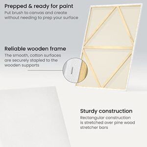 Arteza Pro Canvas Review