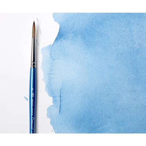 Winsor & Newton Watercolor Brush Review