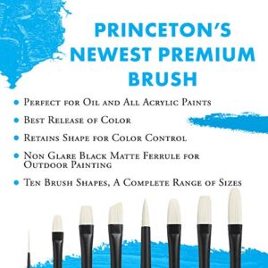 Princeton Oil Painting Brush Review
