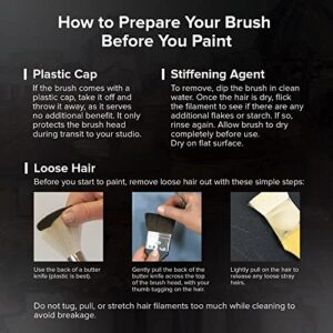 Is Silver Brush Black Velvet Worth It